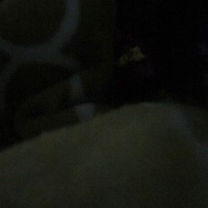 Meet your Posher, Ellen